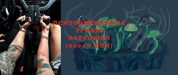гидра Абаза