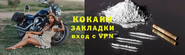 гидра Абаза