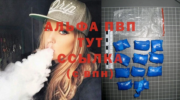 гидра Абаза
