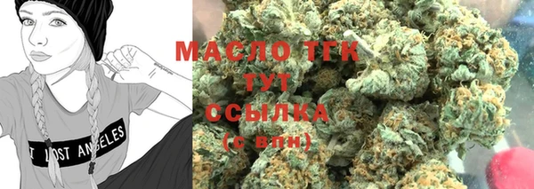 гидра Абаза