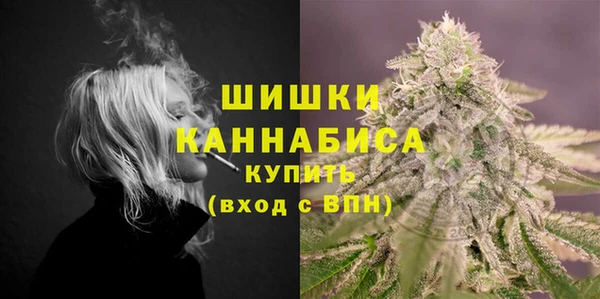 гидра Абаза