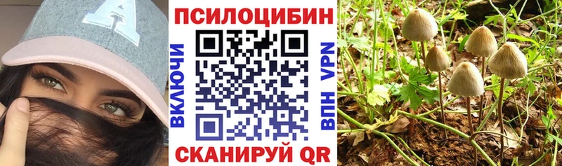 Галлюциногенные грибы мухоморы сайты даркнета какой сайт Серафимович